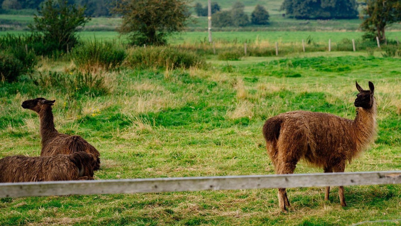 Photo of Outdoor in Amerton