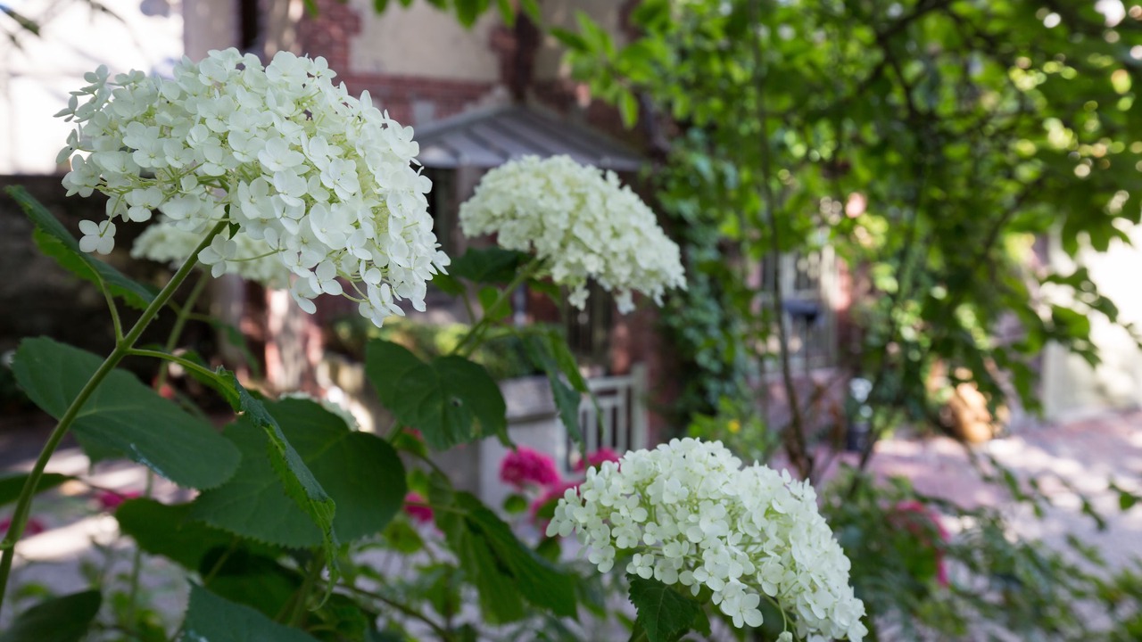 Photo of Outdoor in Honfleur