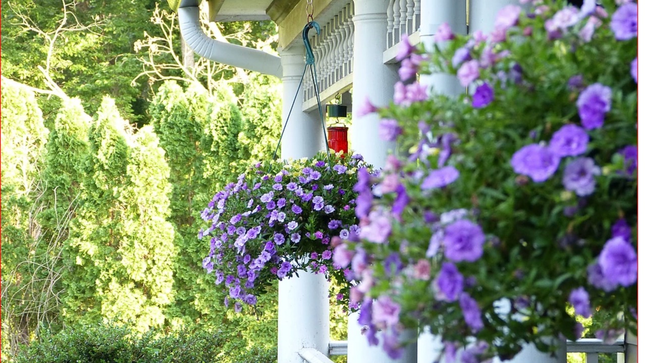 Photo of Outdoor in Hogansville