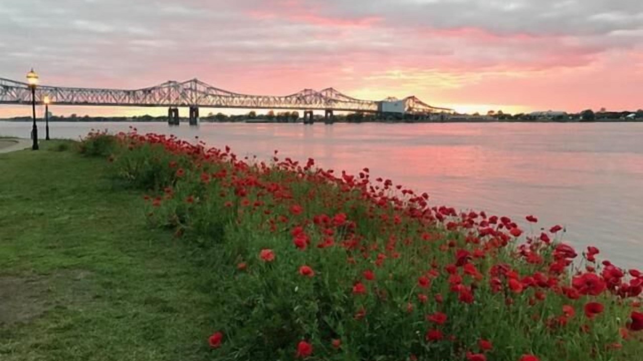 Photo of Others in Natchez