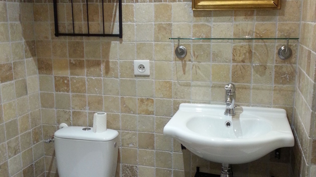 Photo of Others in Saint-Haon-le-Chatel