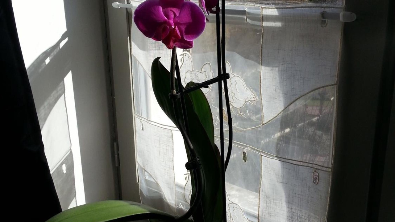 Photo of Others in Saint-Haon-le-Chatel