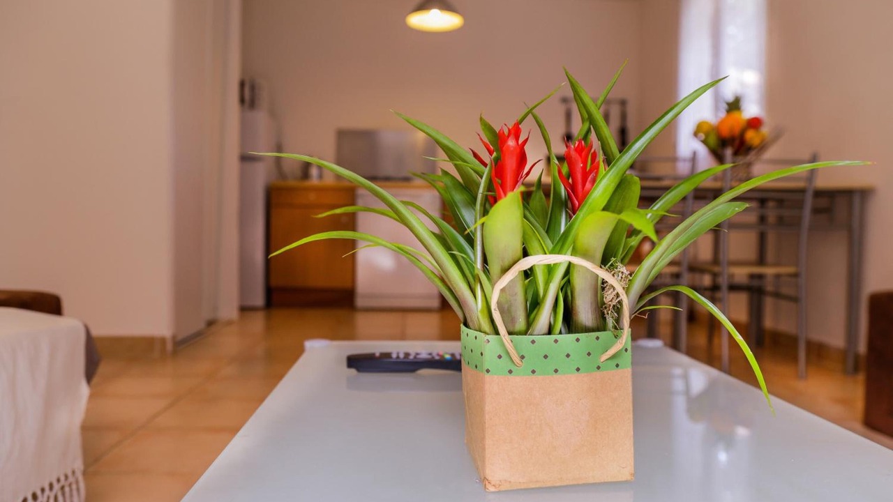 Photo of Others in Bonifacio