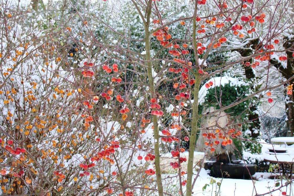 Photo of Outdoor in Isle