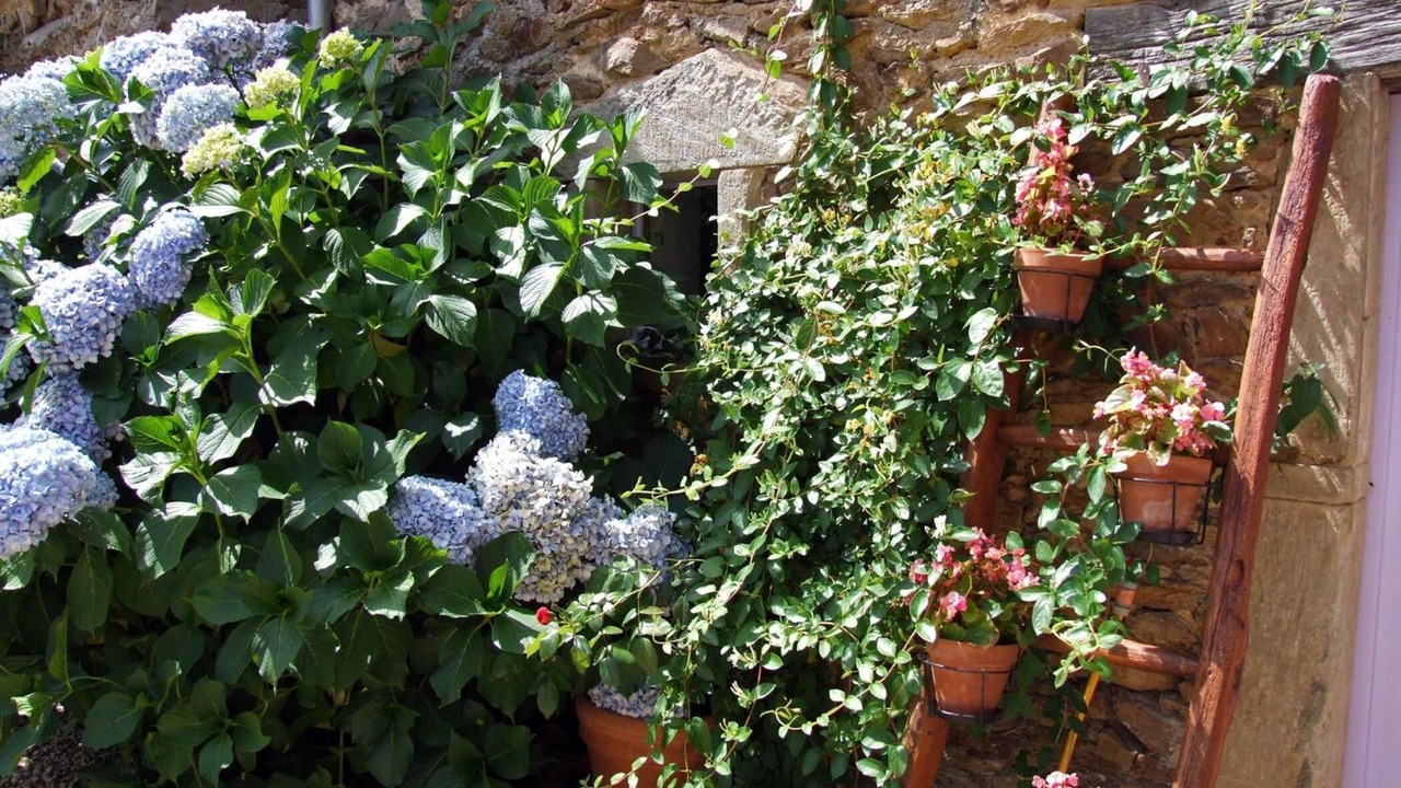 Photo of Outdoor in Rieupeyroux