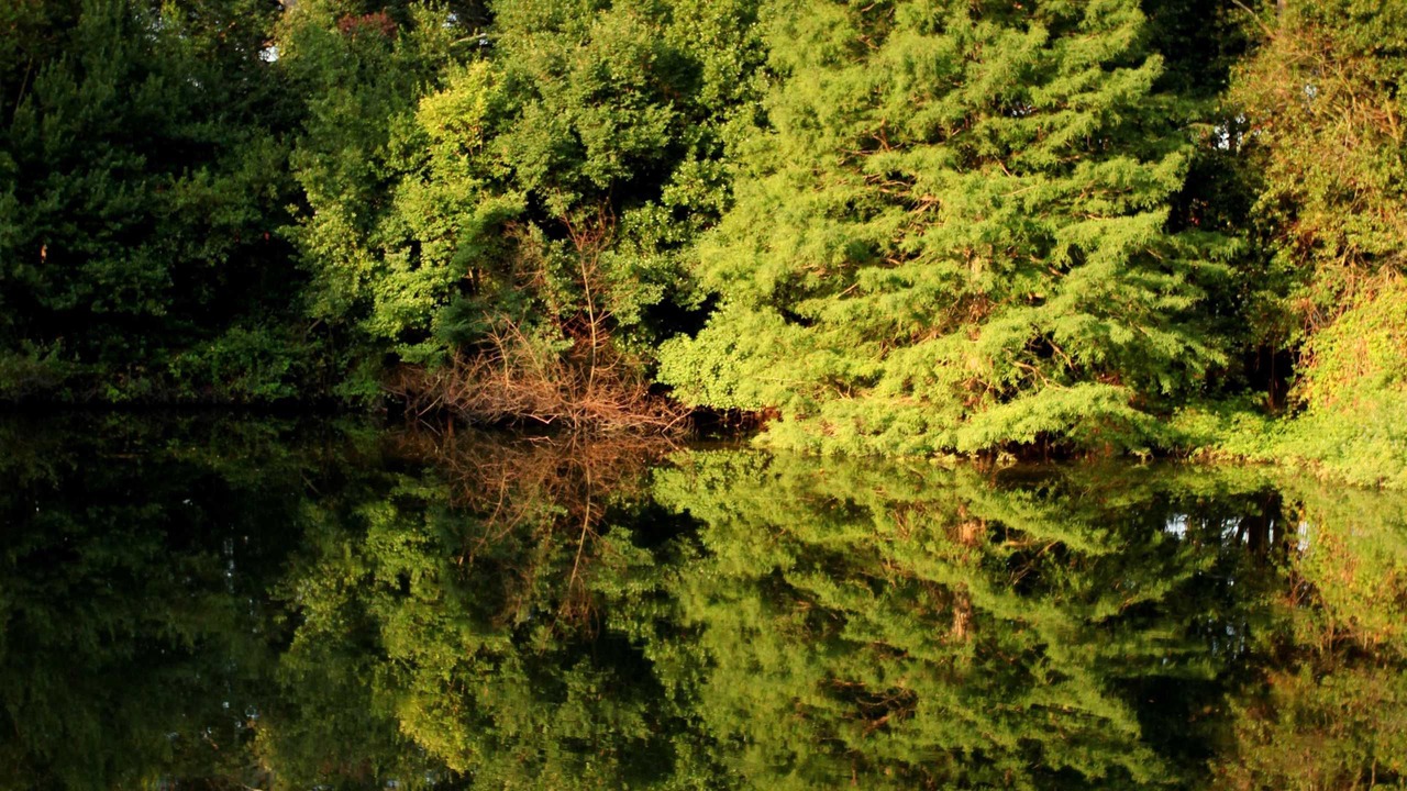 Photo of Outdoor in Fazana