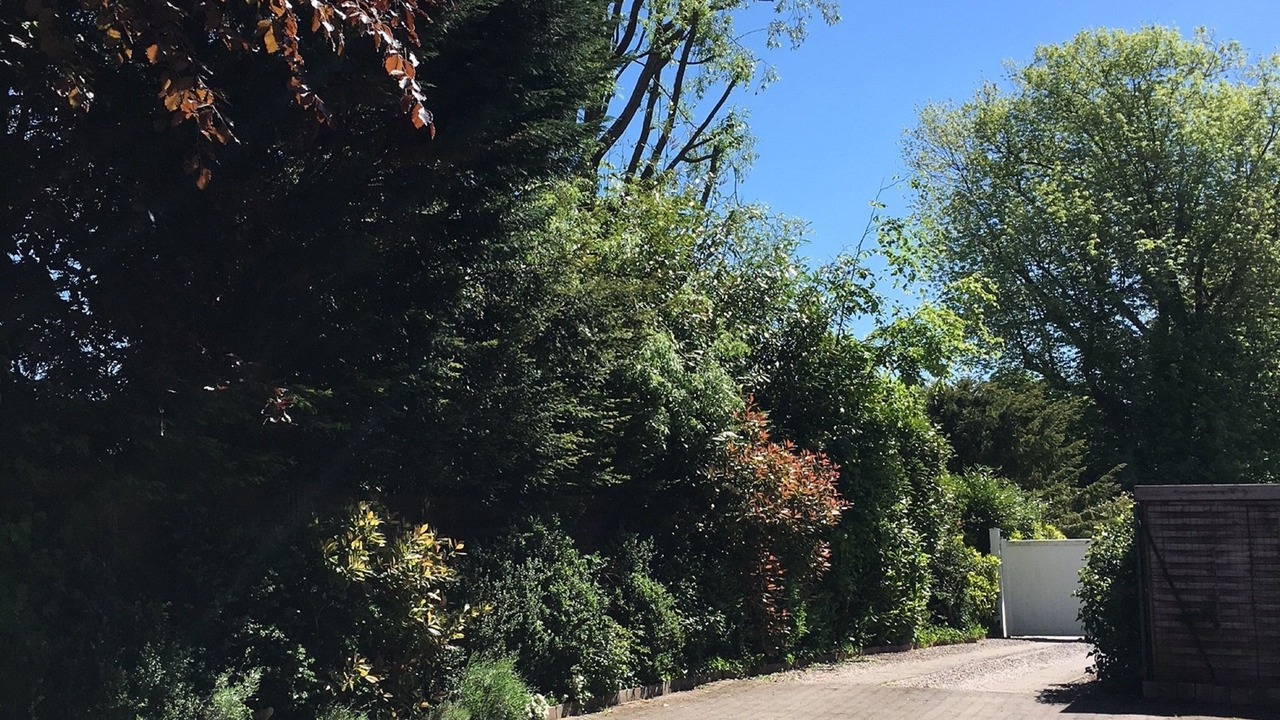 Photo of Outdoor in Croix