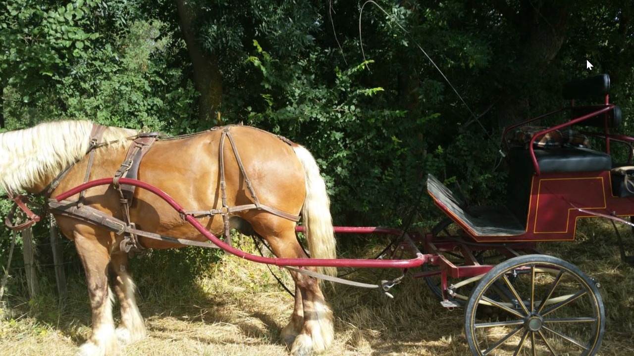 Photo of Others in Bernis