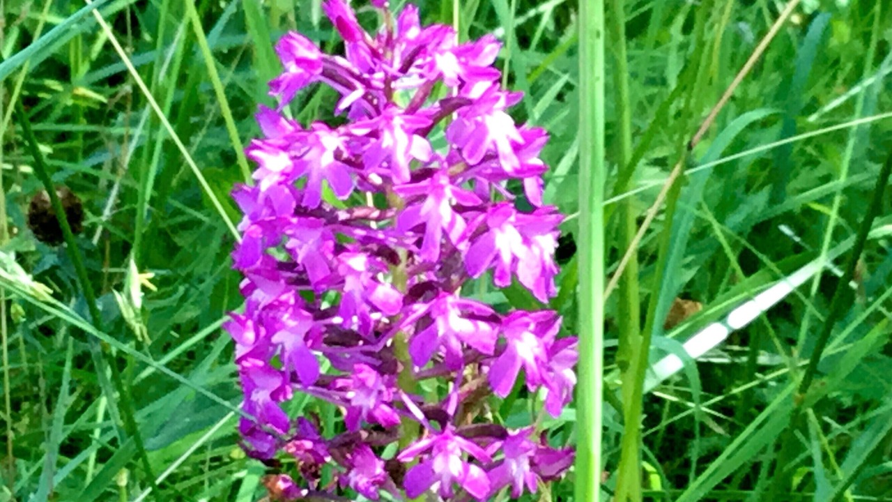 Photo of Others in Cabrerets