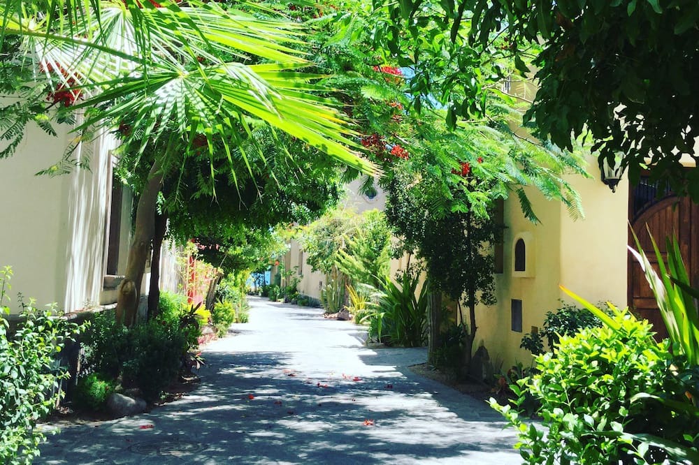 Photo of Outdoor in Nopolo