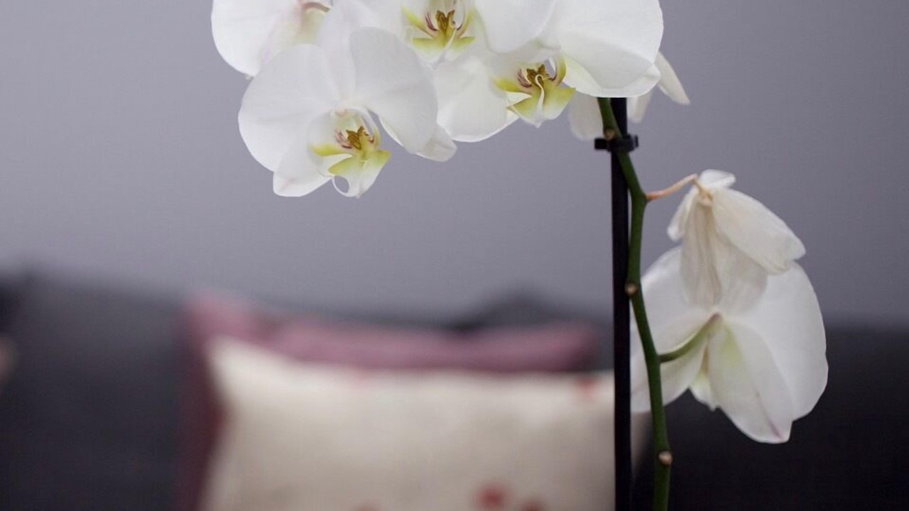 Photo of Bedroom in Inverurie