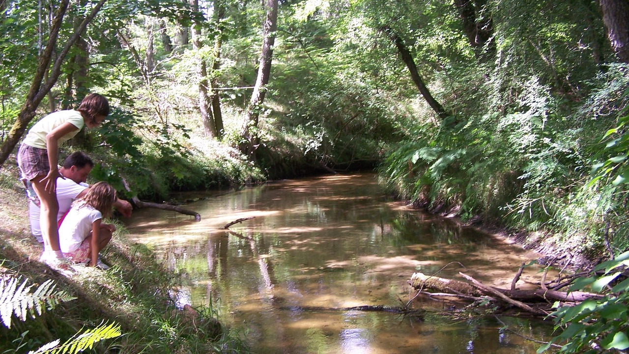 Photo of Outdoor in Captieux