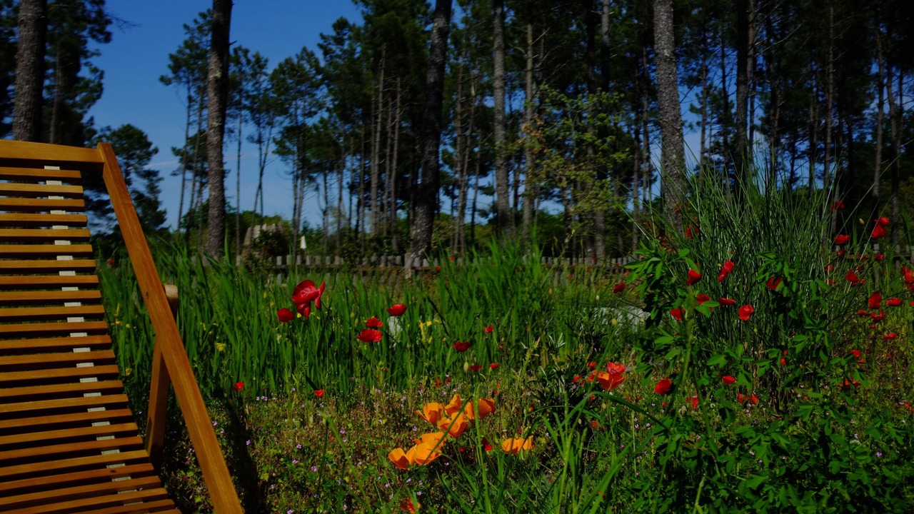 Photo of Outdoor in Captieux