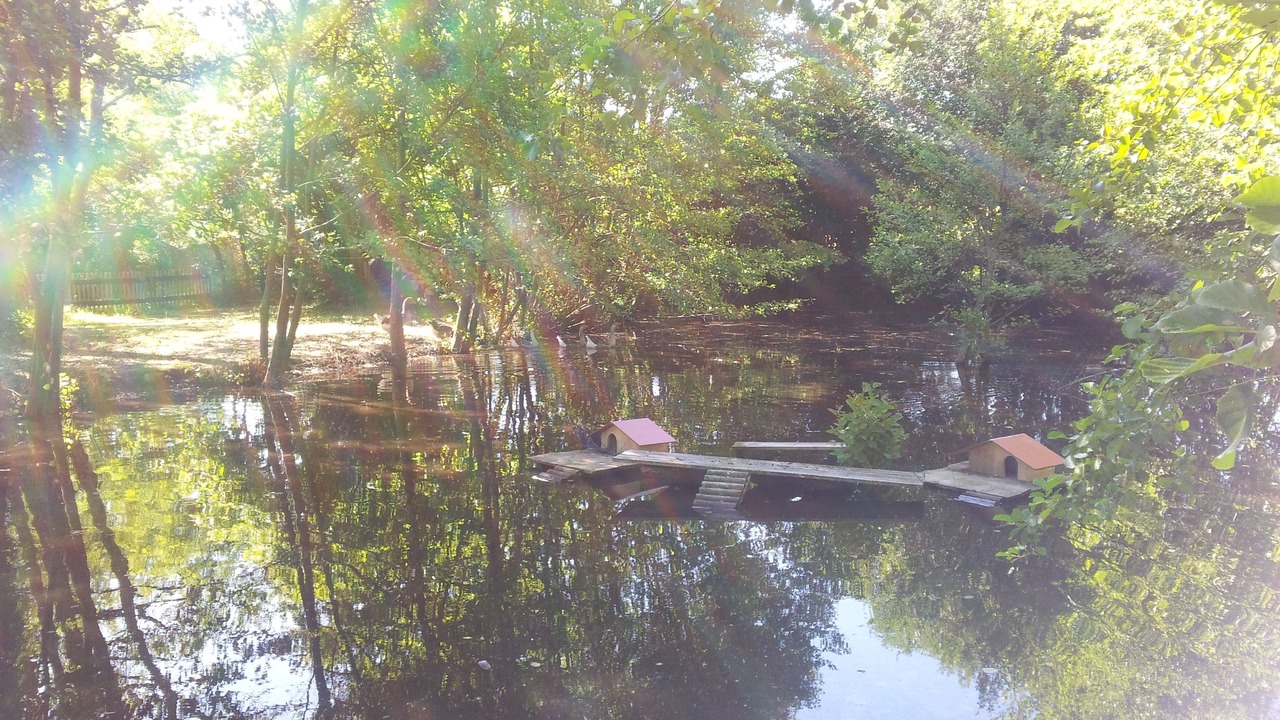 Photo of Outdoor in La Boissiere-des-Landes