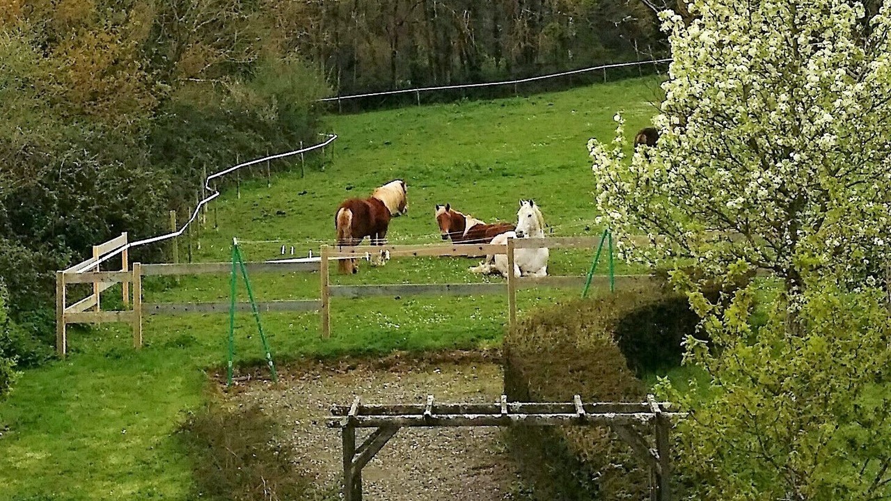 Photo of Others in La Boissiere-des-Landes