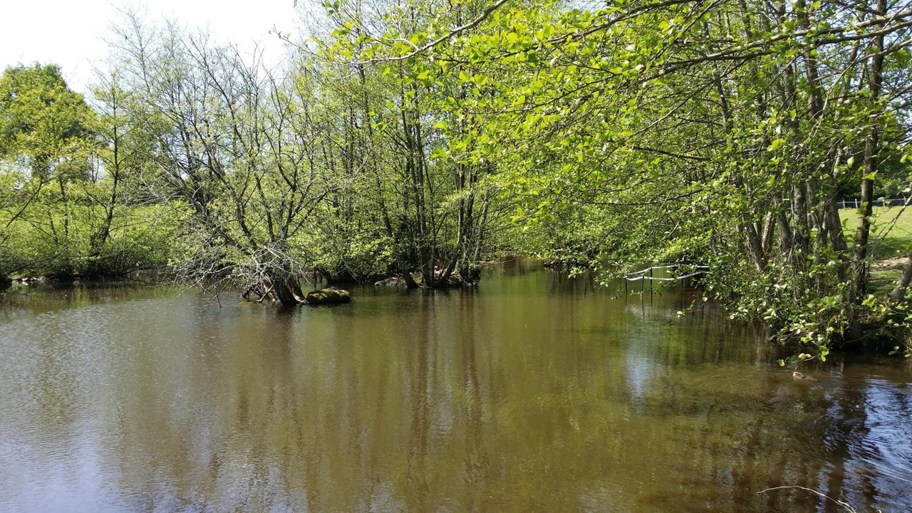 Photo of Outdoor in La Boissiere-des-Landes
