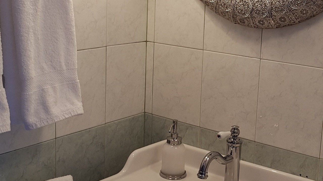 Photo of Bathroom in Loborika