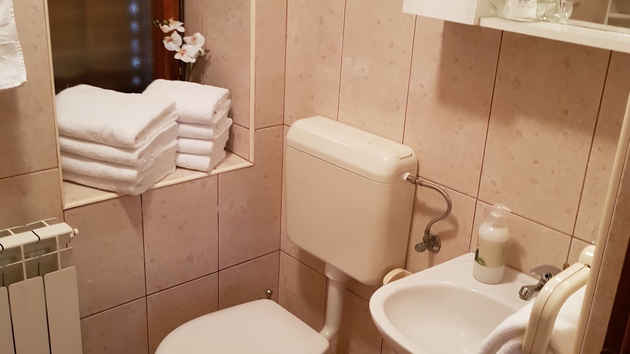 Photo of Bathroom in Loborika