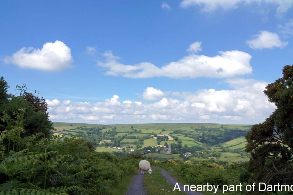 Photo of Others in Tavistock