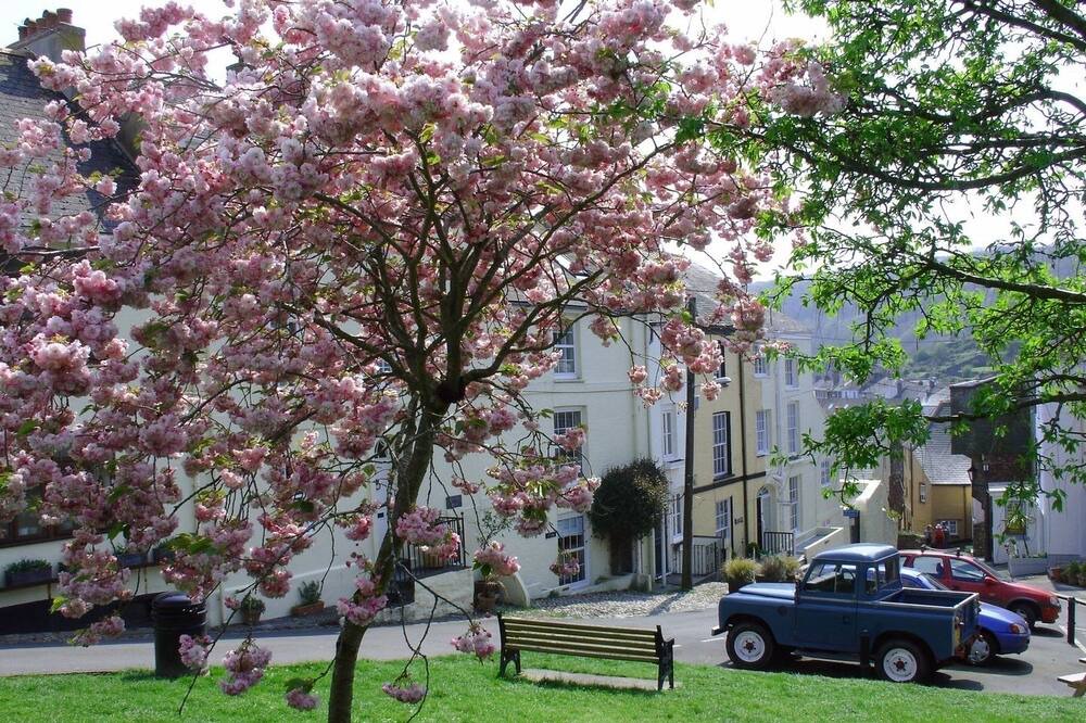 Photo of Outdoor in Kingsand