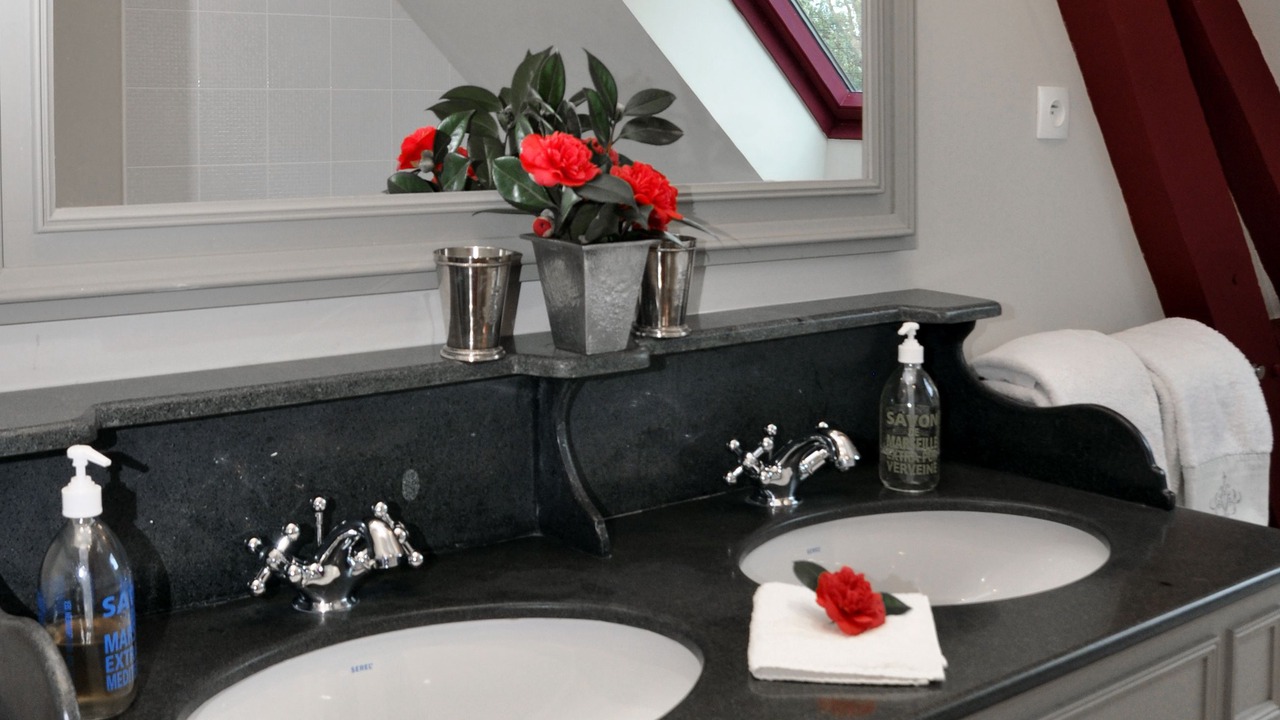 Photo of Bathroom in Craon