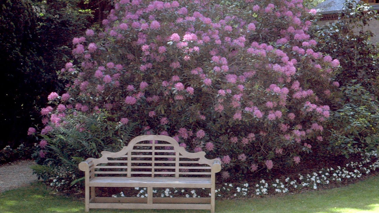 Photo of Outdoor in Craon