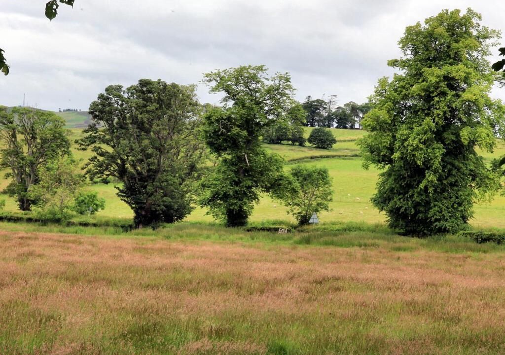 Photo of Outdoor in Crieff