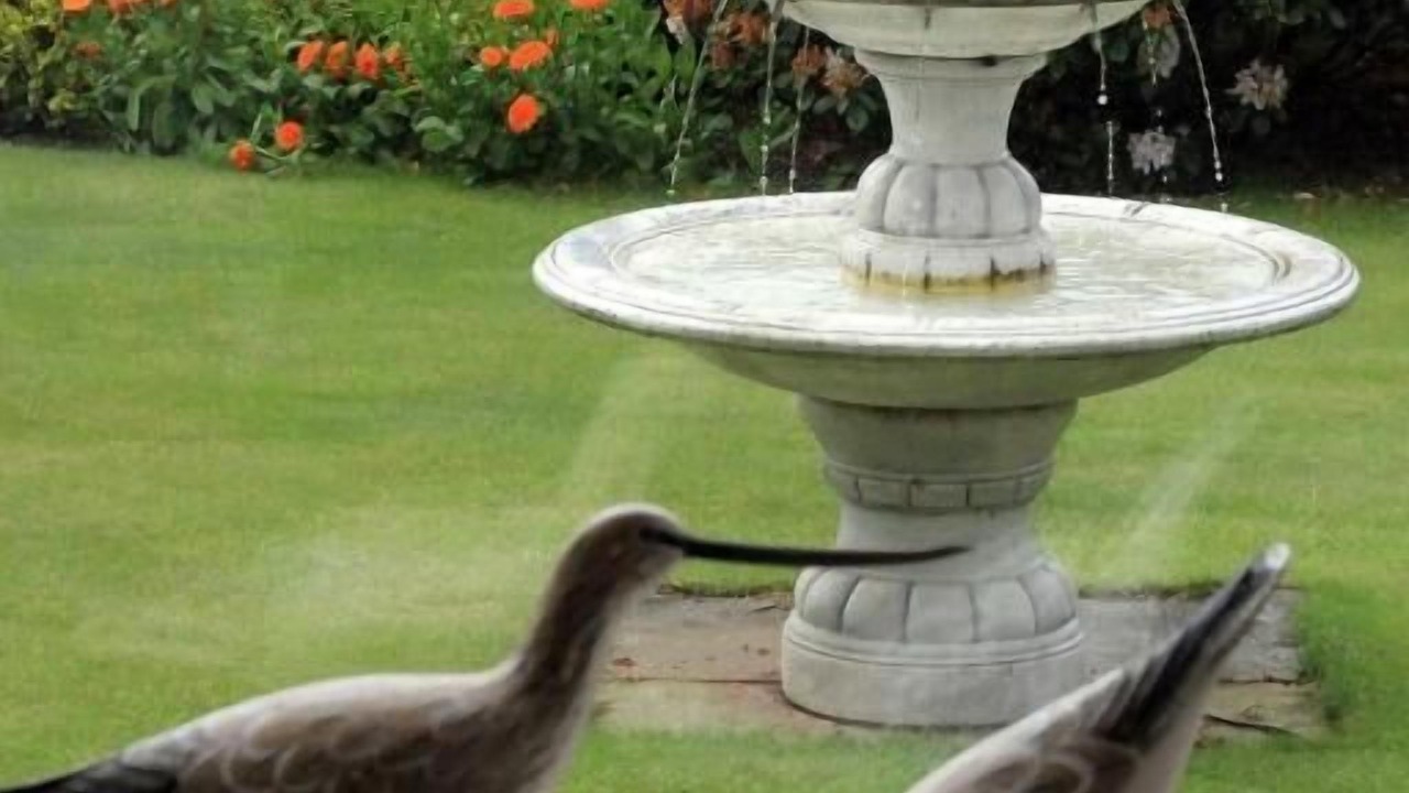 Photo of Outdoor in Crieff