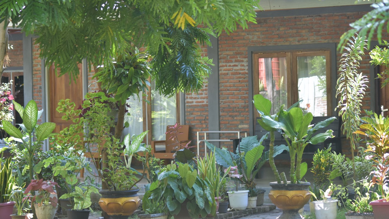 Photo of Bedroom in Riung