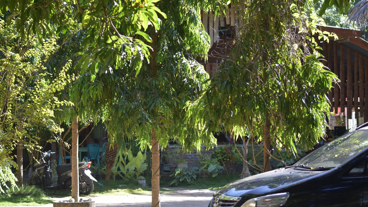 Photo of Outdoor in Riung