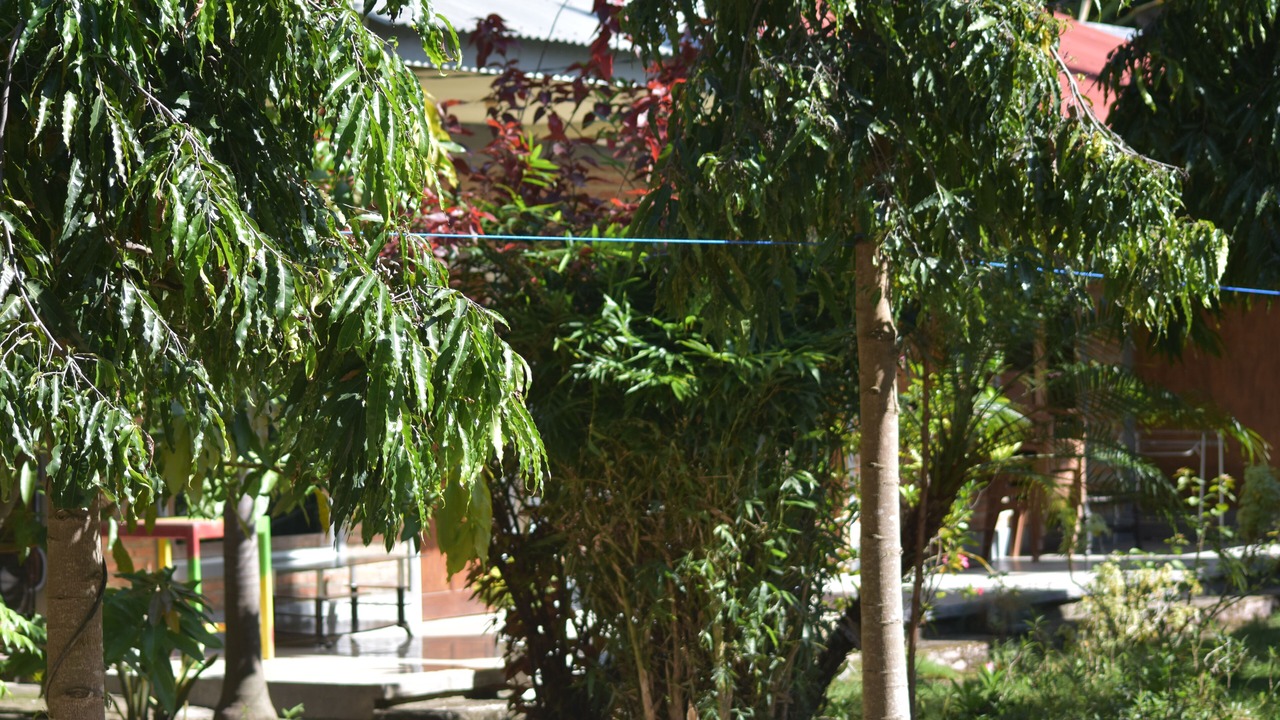 Photo of Bedroom in Riung