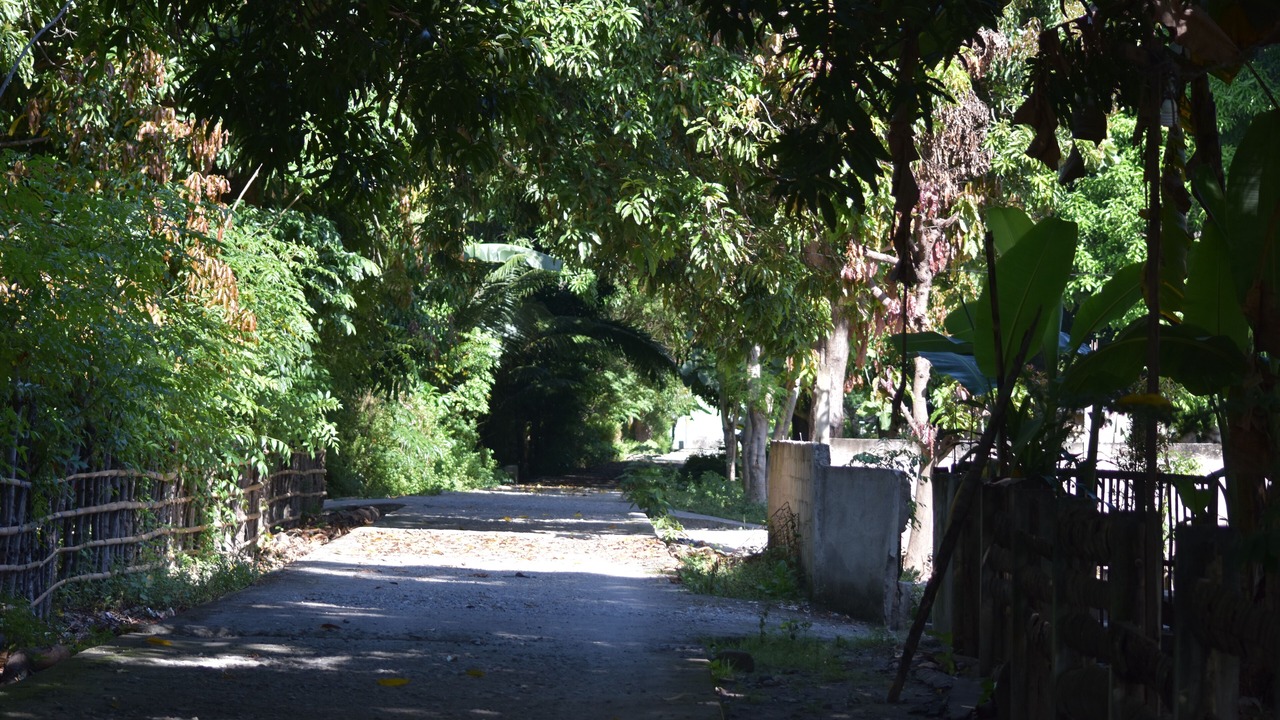 Photo of Outdoor in Riung