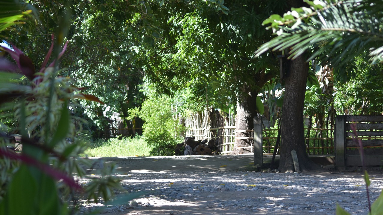 Photo of Outdoor in Riung