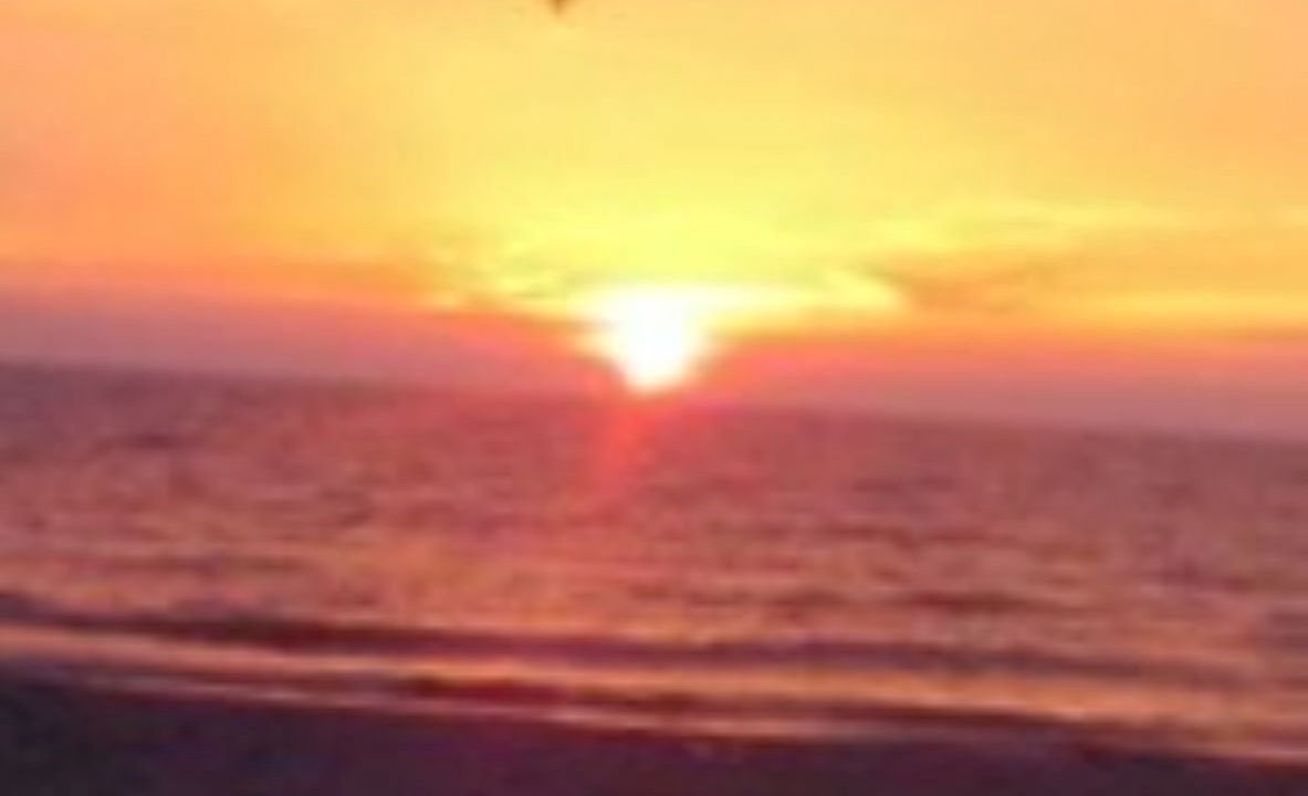 Photo of Others in Lake Erie Beach