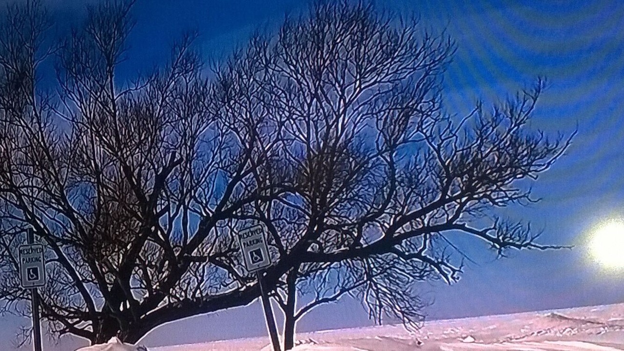 Photo of Others in Lake Erie Beach