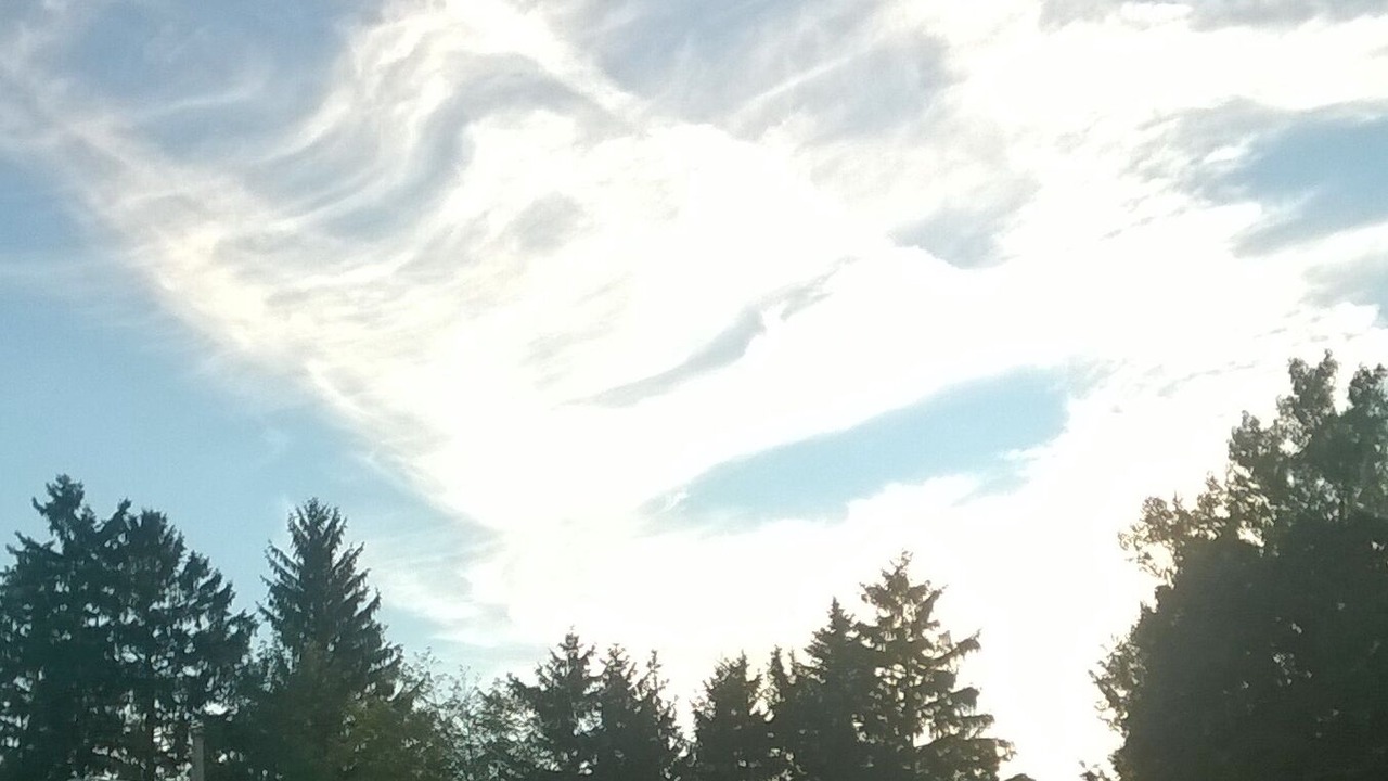 Photo of Others in Lake Erie Beach