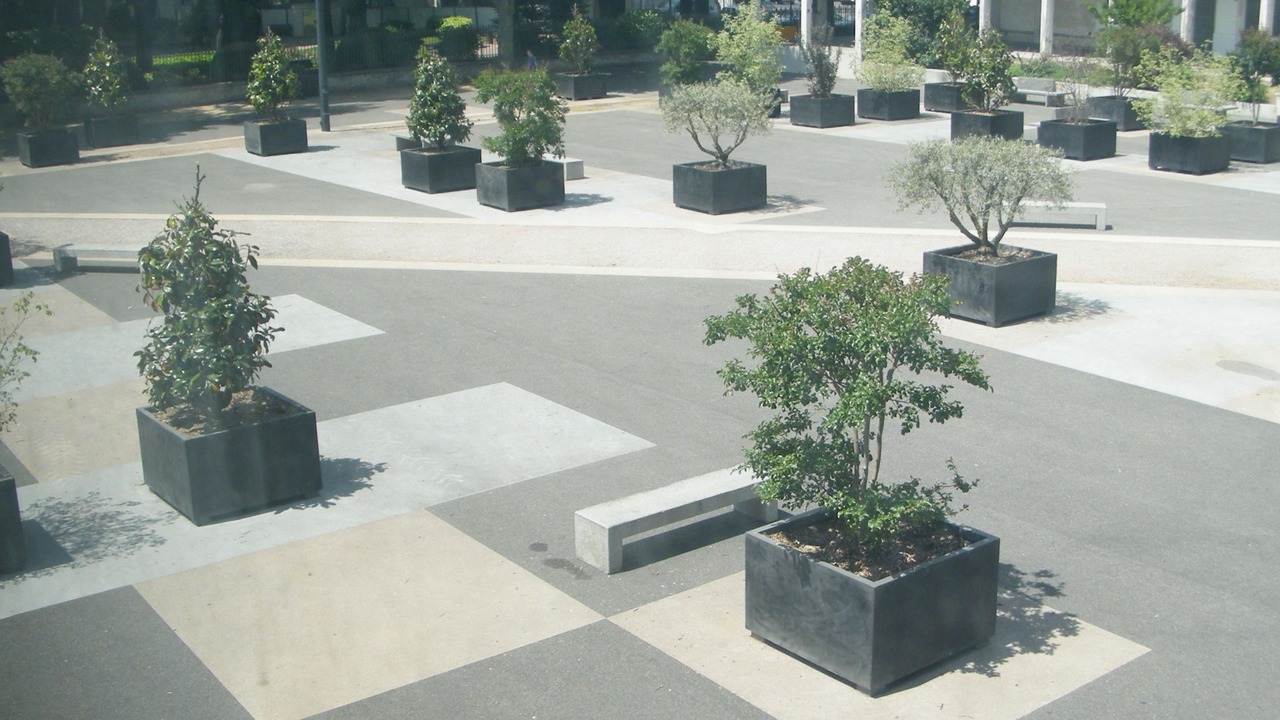 Photo of Others in Centre Ville