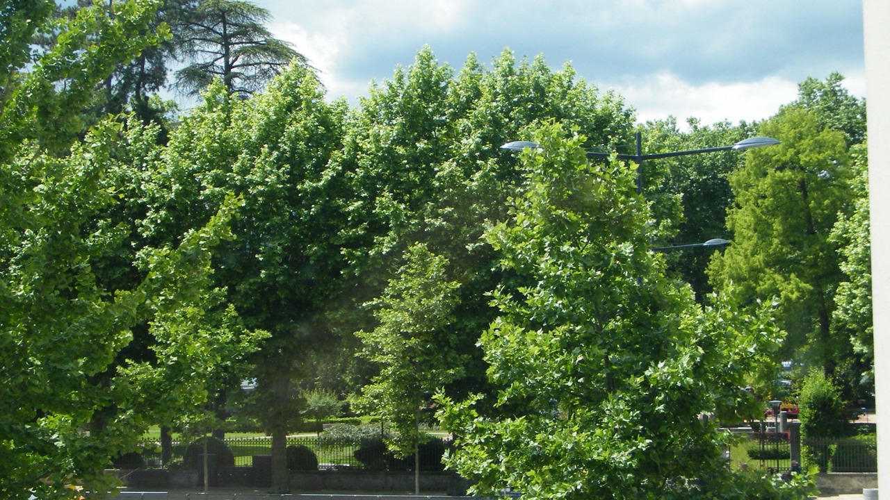 Photo of Others in Centre Ville