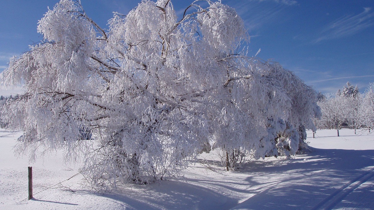 Photo of Outdoor in Saint-Marcel-dʼUrfe