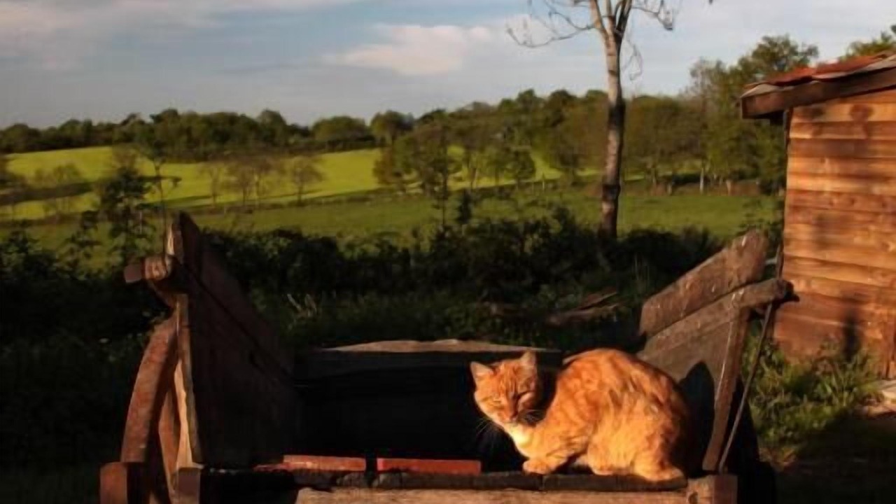 Photo of Outdoor in Saint-Marcel-dʼUrfe