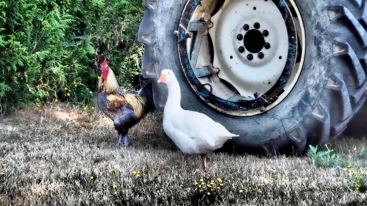 Photo of Outdoor in Boussieres-en-Cambresis