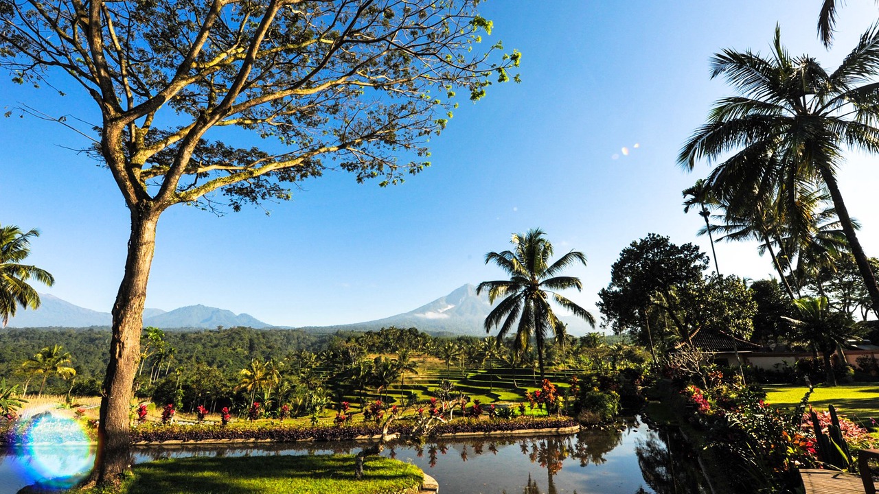 Photo of Bedroom in Banyuwangi