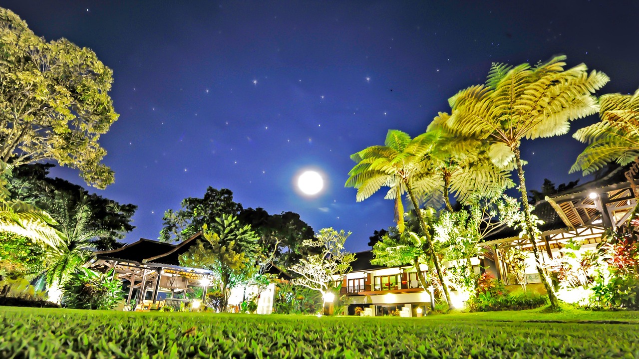 Photo of Others in Banyuwangi