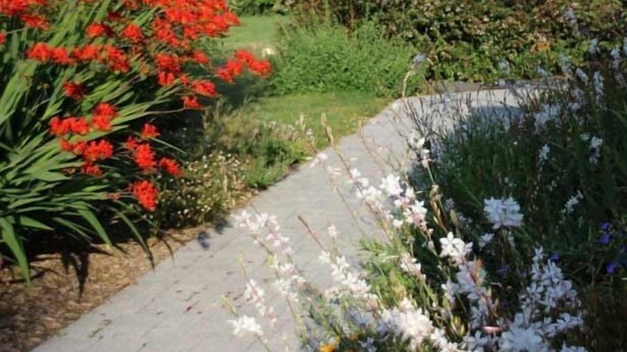 Photo of Outdoor in Plumergat