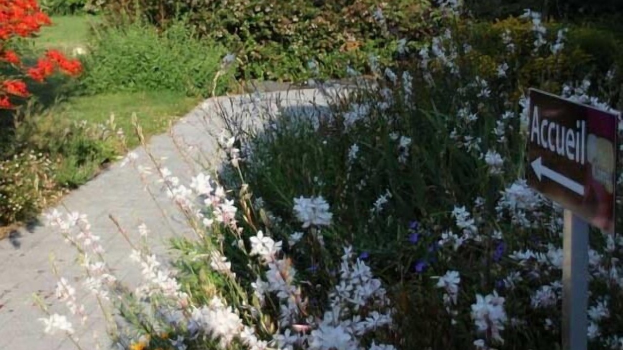 Photo of Outdoor in Plumergat