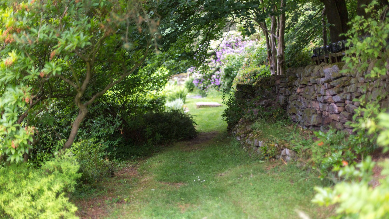 Photo of Others in Beeley