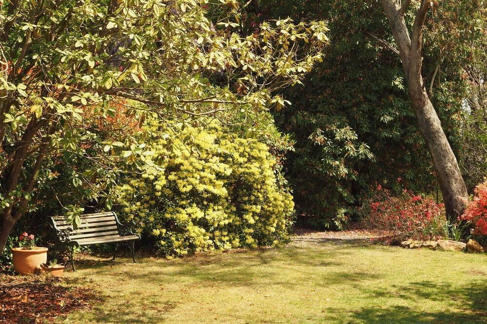 Photo of Outdoor in Blackheath