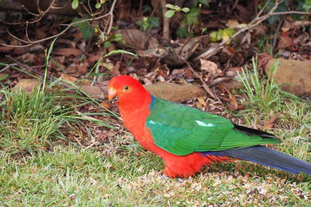 Photo of Outdoor in Blackheath