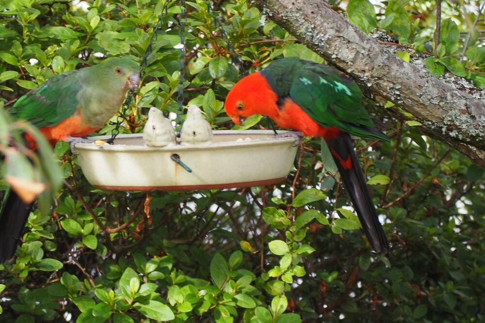 Photo of Others in Blackheath