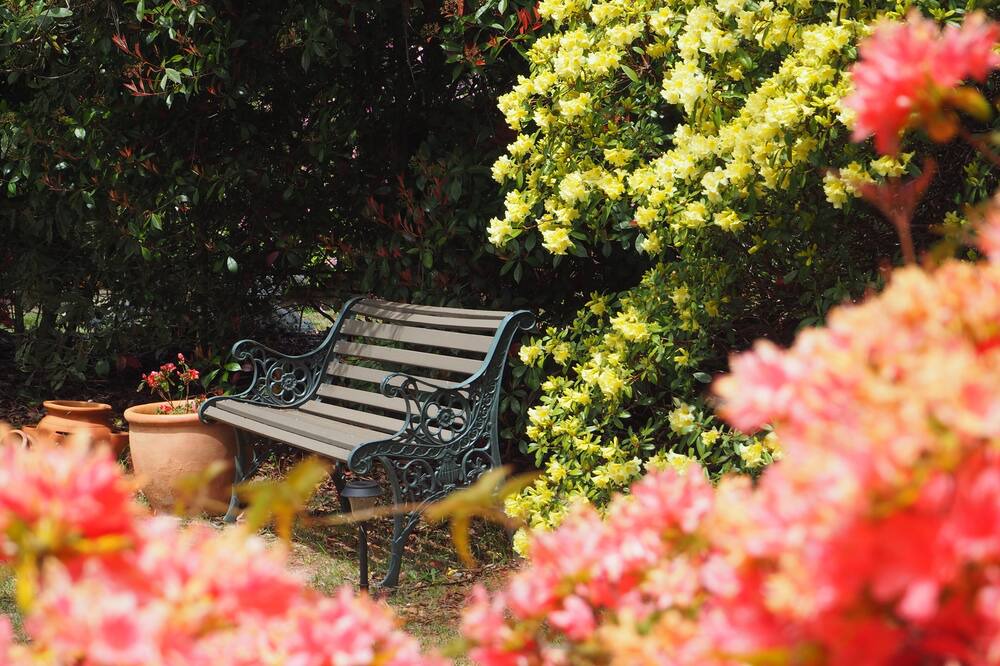 Photo of Outdoor in Blackheath